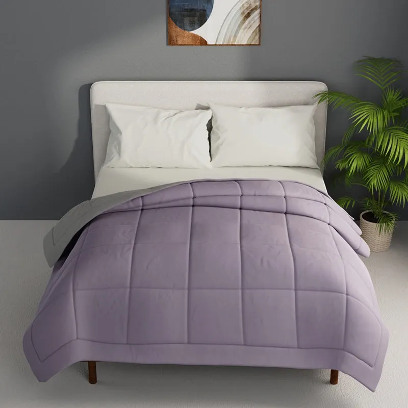 Herbert Reversible Solid Comforter (Lavender) - 120 GSM media 3