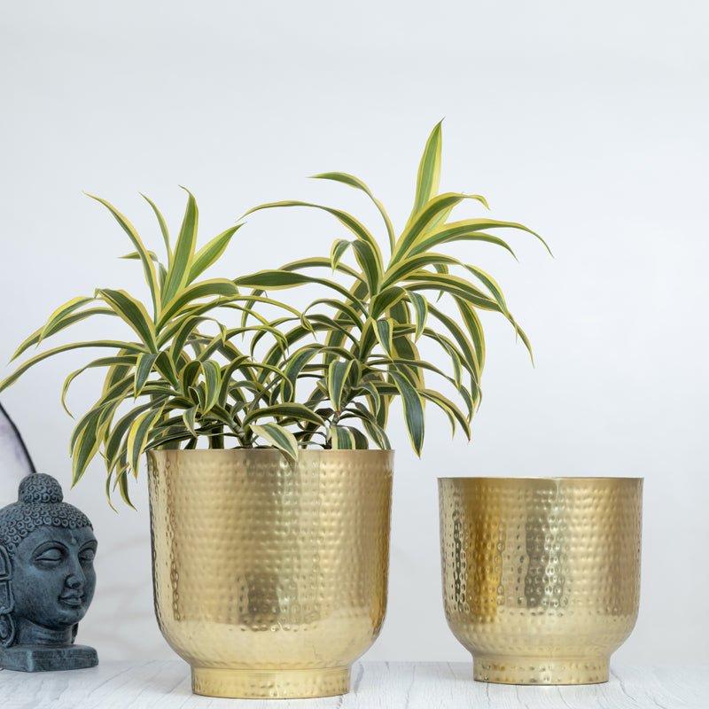 Edo Hammered Golden Planter (Gold) - Set Of Two media 2