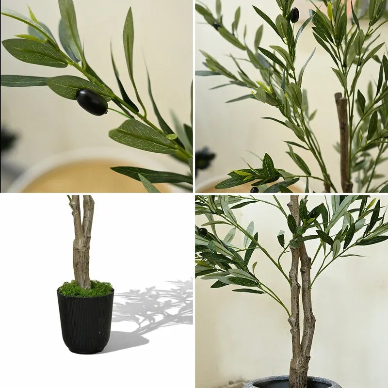 Green Nest Olive Artificial Plant With Black Plastic Pot - 152 cm (5 ft) media 4
