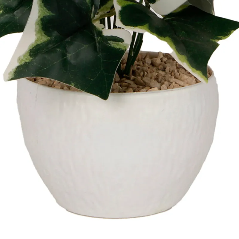 Ivelle Artificial Plant With Black Plastic Pot - White media 2