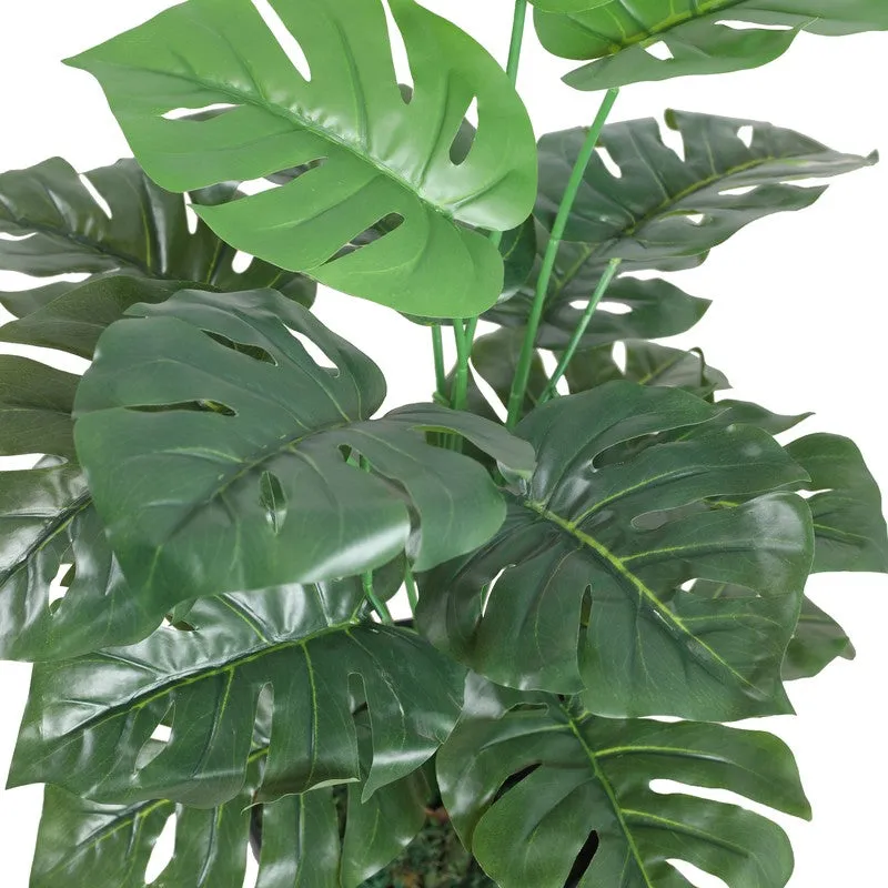 Regal Monstera Artificial Plant Without Pot - 2.3 Feet media 6