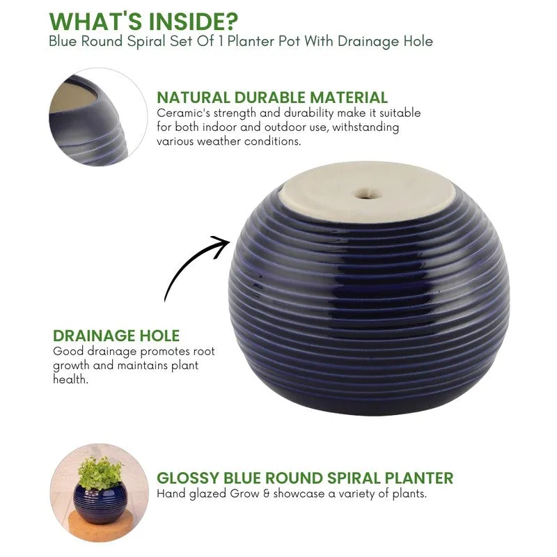 UrbanNest Pots & Planters Blue media 5