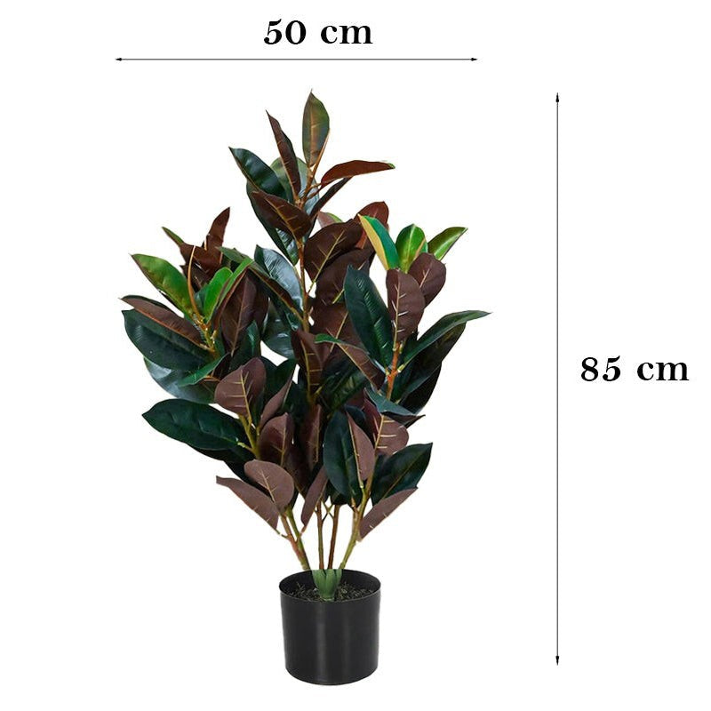Faux Deco Red Rubber Plant With Black Plastic Pot - 2.79 ft media 8