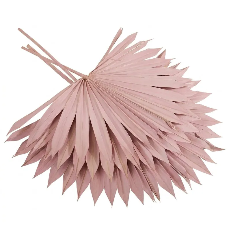 (Pink) Sun Palm Spear (20 cms) - Set Of Five Stems media 4