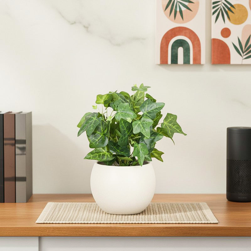 Artificial Plant With Black Fiber Pot - 1 Feet