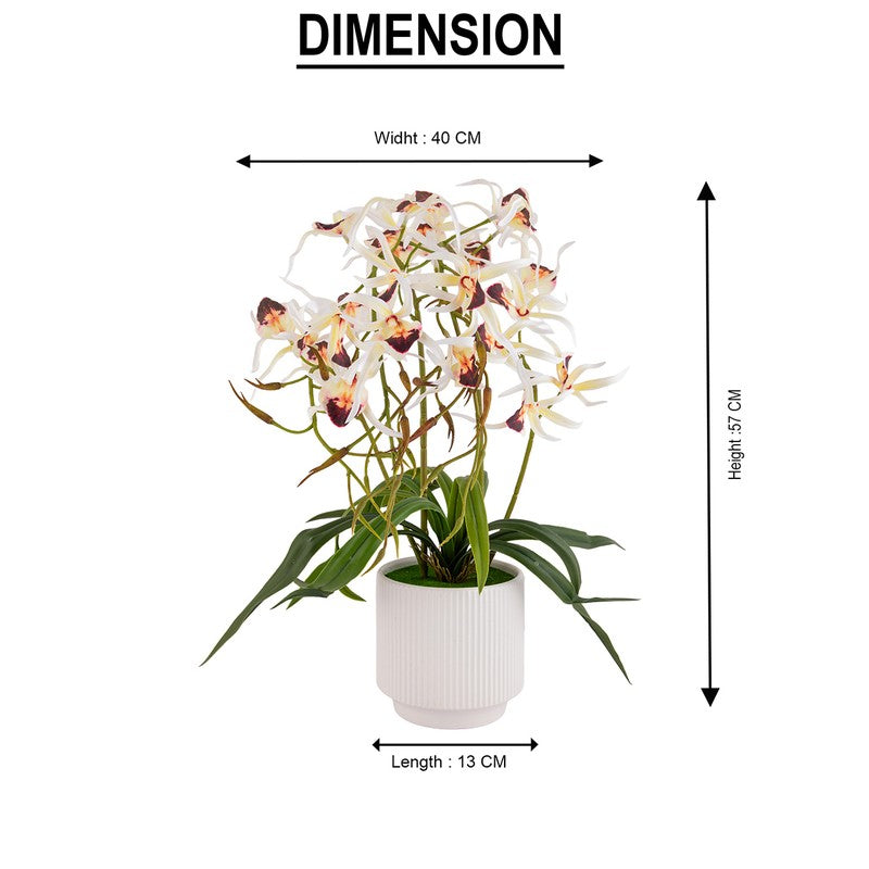 AarviDecor Classic Bloom Silk Artificial Plants media 10