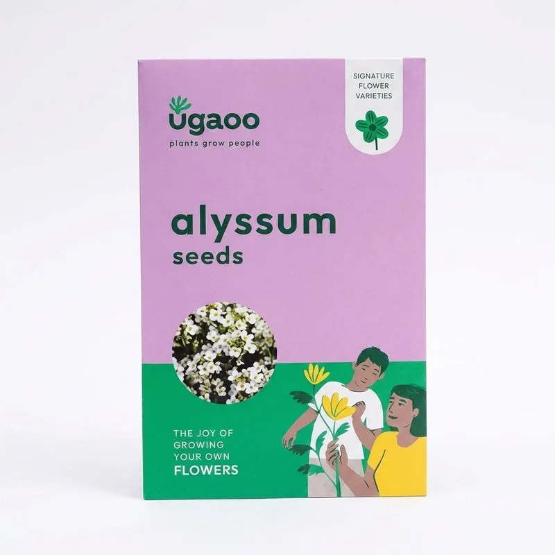 Ugaoo Alyssum Seeds (200 Seeds) media 5