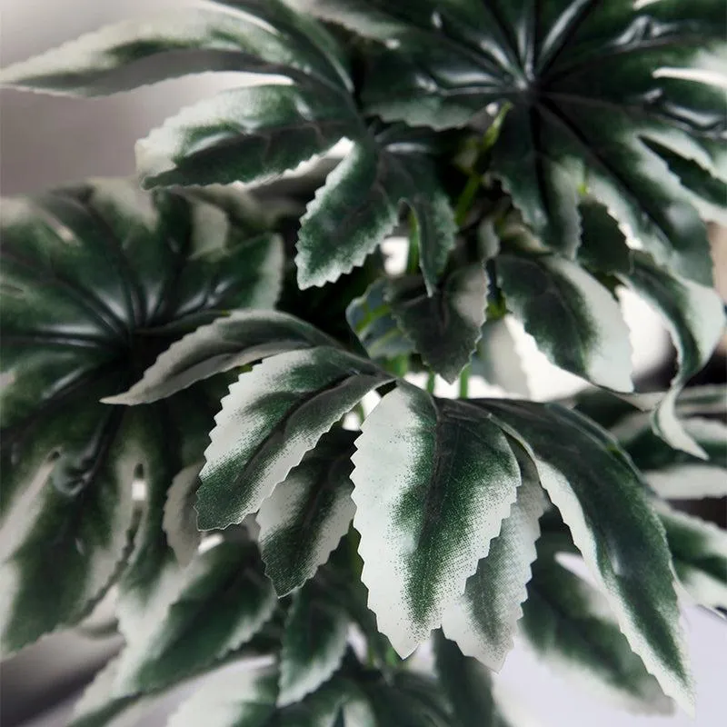 Faux Spider Web Plant With Black Plastic Pot media 3