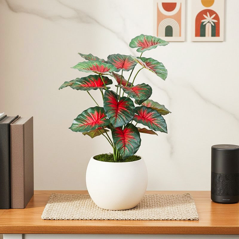 Verdant Caladium Artificial Plant Without Pot - 2.3 Feet