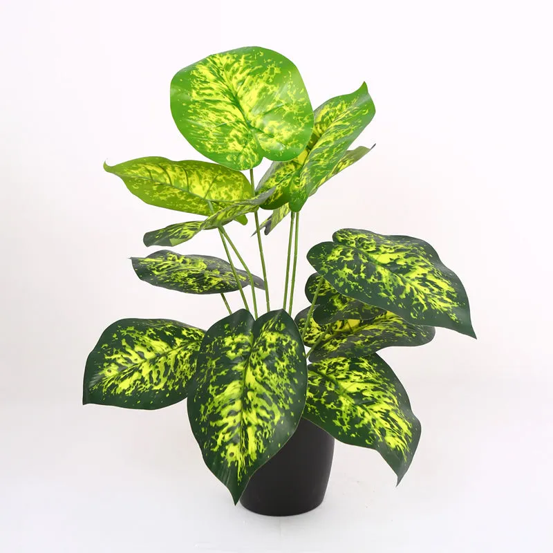 Differa Artificial Dieffenbachia Plant With Black Plastic Pot (1.8 Feet) - Yellow, Green media 5