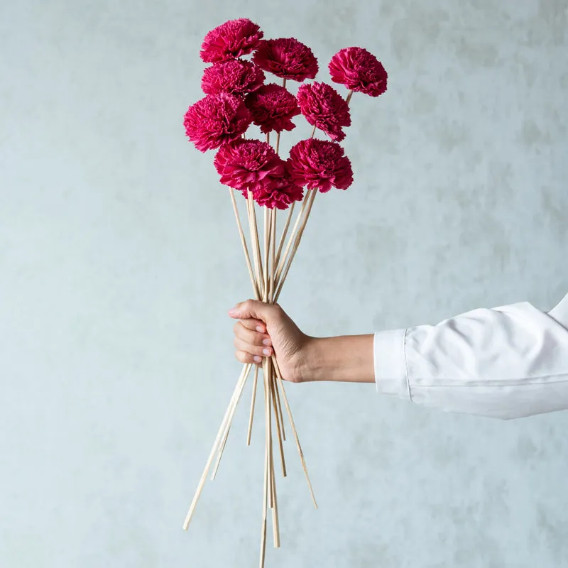 Berta Carnation Sola Flower Stick (Pink) - Set Of Ten media 1