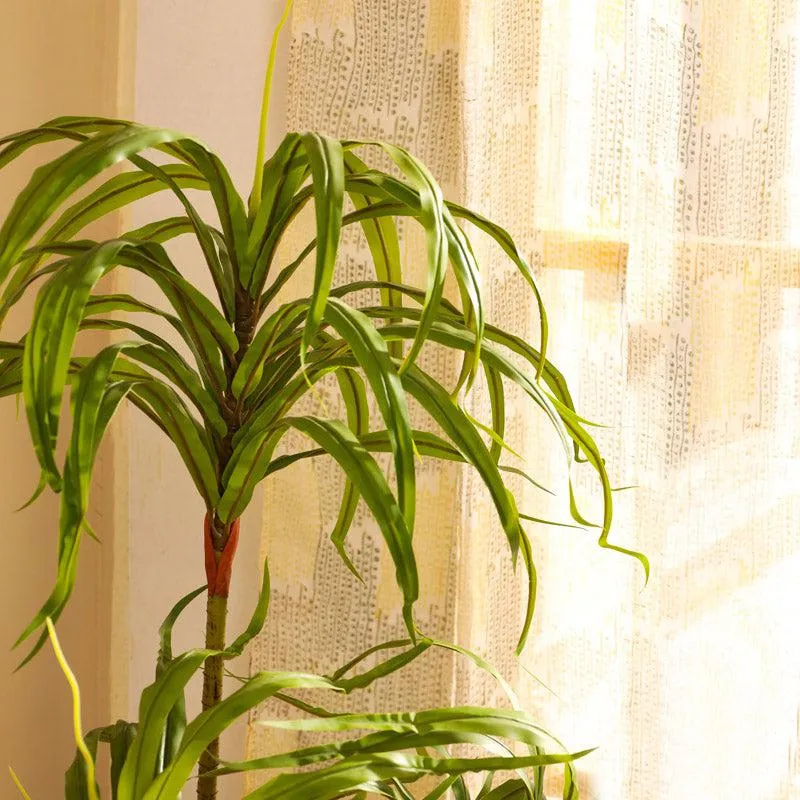 Artificial Realistic Dracaena Plant With Black Plastic Pot - 4.9 Feet media 4