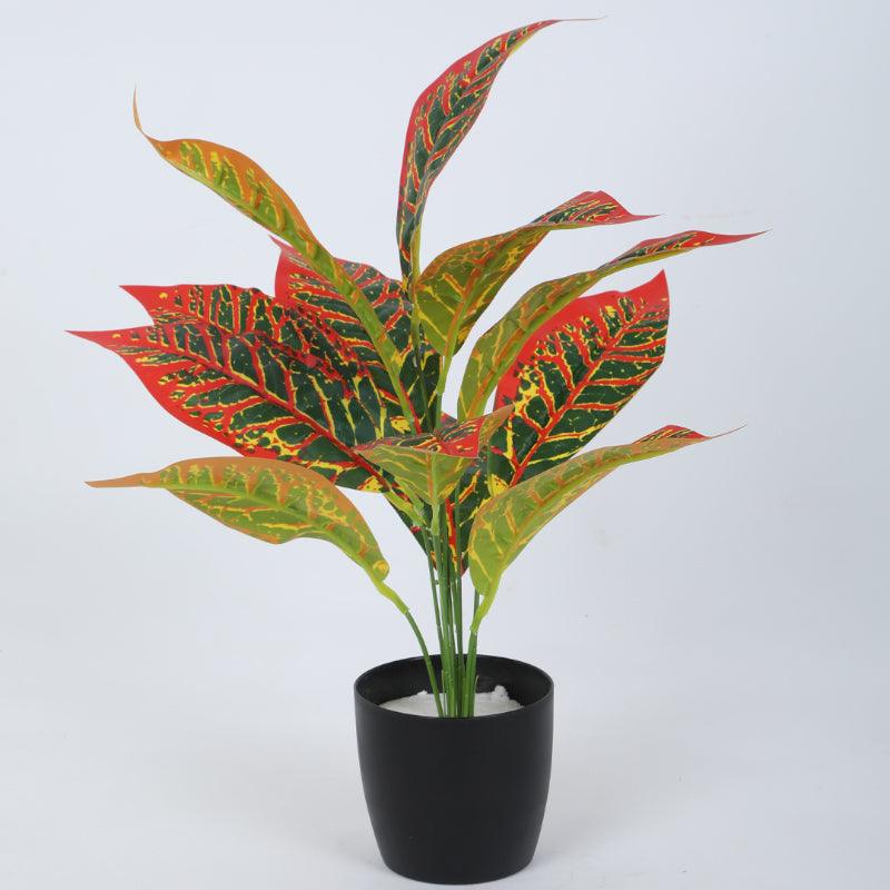 Faux Red Croton Plant With Black Plastic Pot (50 cms) - Set Of Two media 4