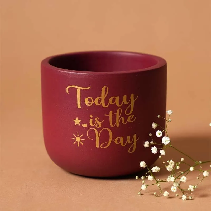 Good Day Planter media 5