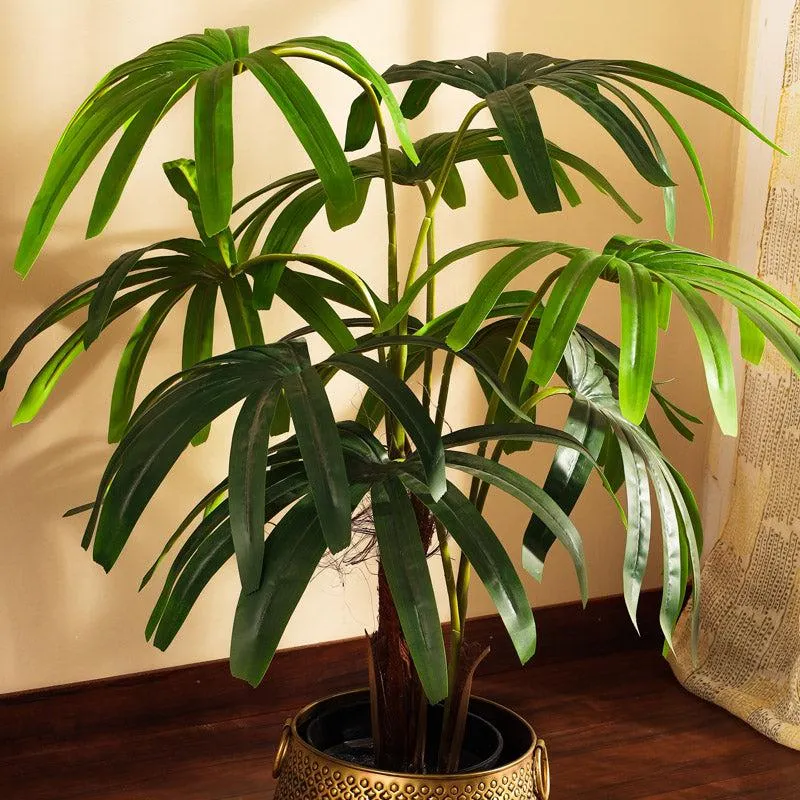 Faux Realistic Areca Tree With Black Plastic Pot - 3.9 Feet media 5