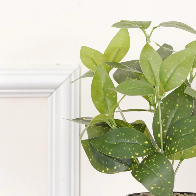 Artificial Grey Croton Plant With Black Fiber Pot - 0.9 Feet media 6