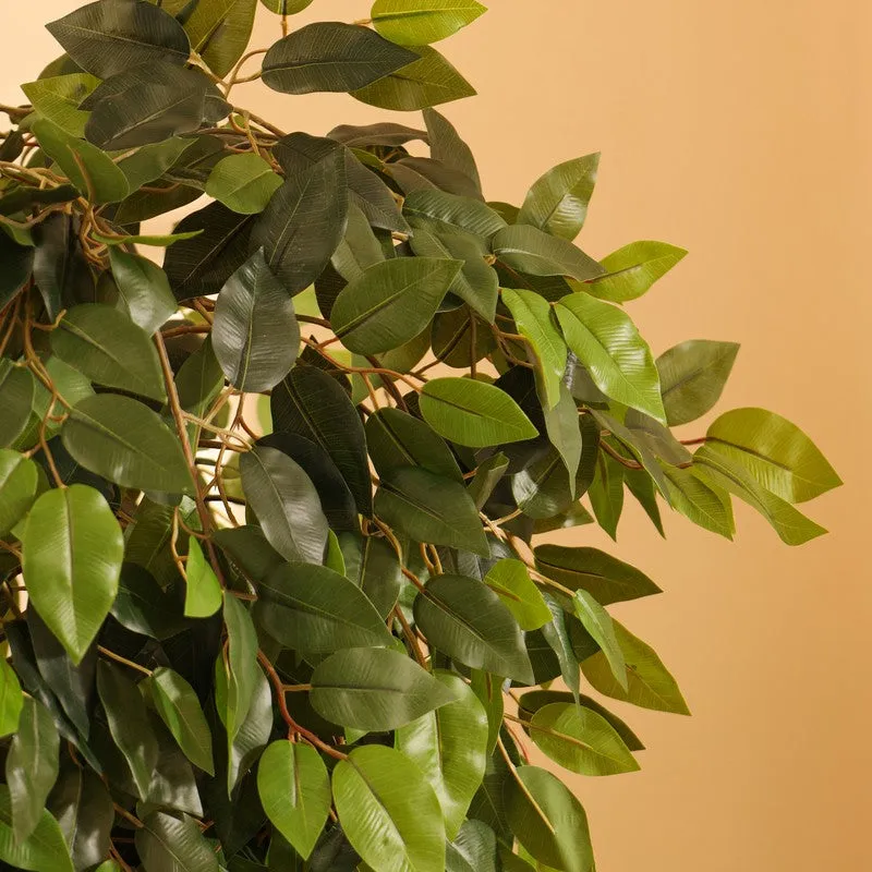Artificial Green Ficus Bonsai With Black Plastic Pot - 5.5 ft media 7