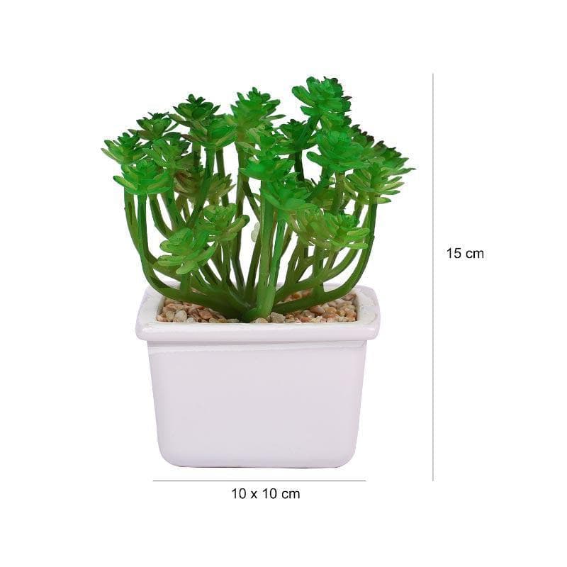 Faux Crassula In White Pot - 14.5 cms media 5