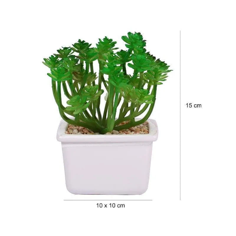 Faux Crassula In White Pot - 14.5 cms media 5
