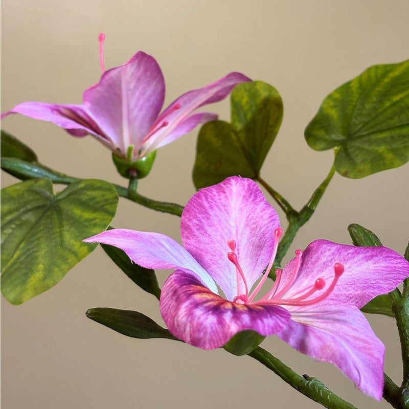 Bauhinia Artificial  Plant With Black Plastic Pot (Pink,Green) - 160 cm (5.2 ft) media 8