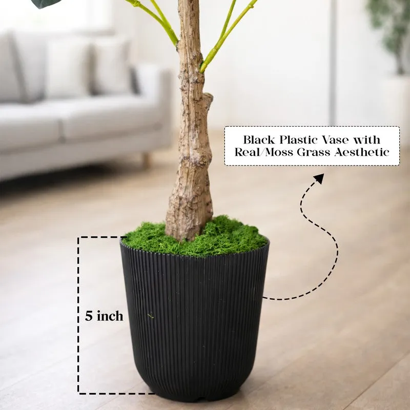 EverGreen Ficus Artificial Plant With Black Plastic Pot - 91 cm (3 ft) media 6