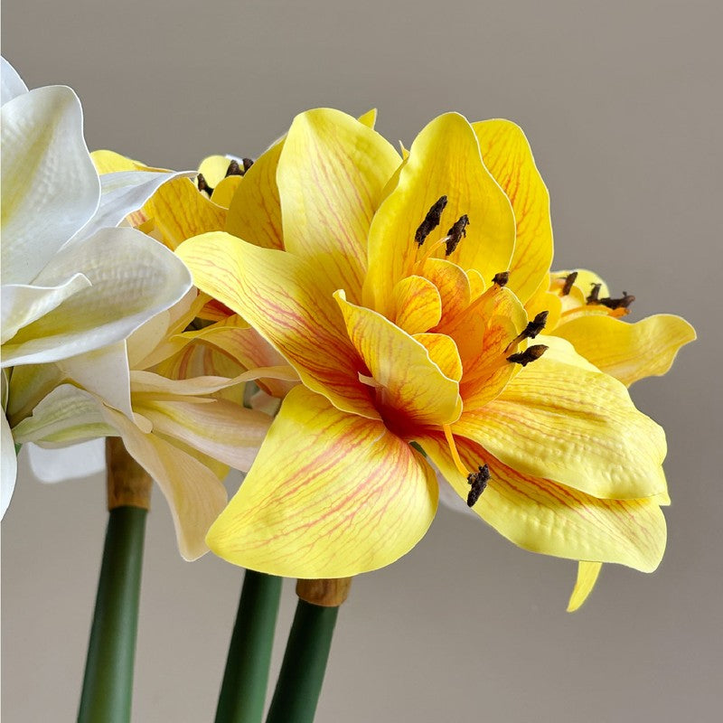 Amaryllis Artificial Floral Stems without Vase - Set of Five media 6
