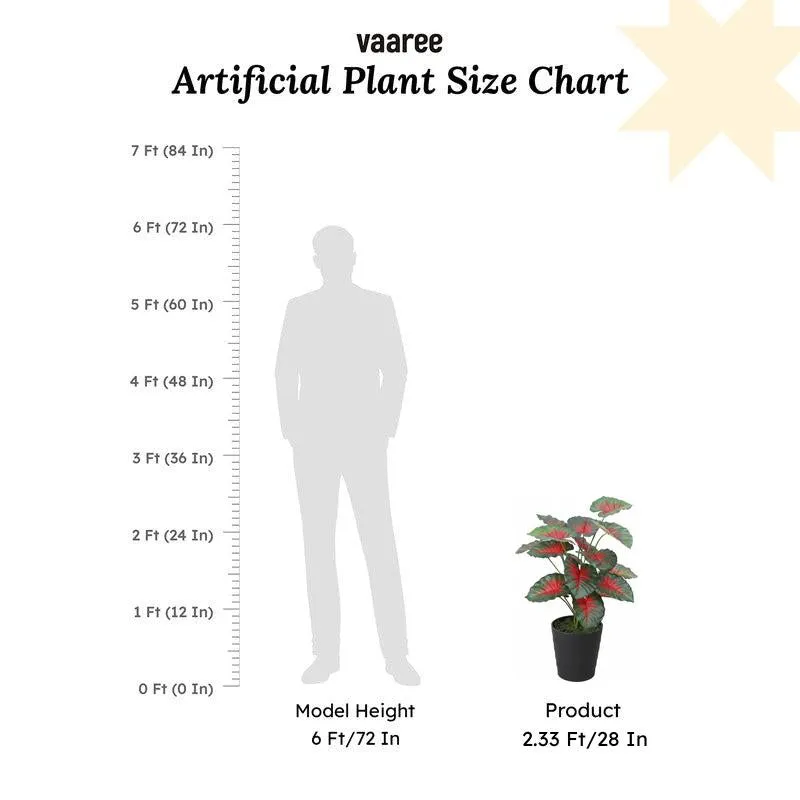 Verdant Caladium Artificial Plant Without Pot - 2.3 Feet media 6