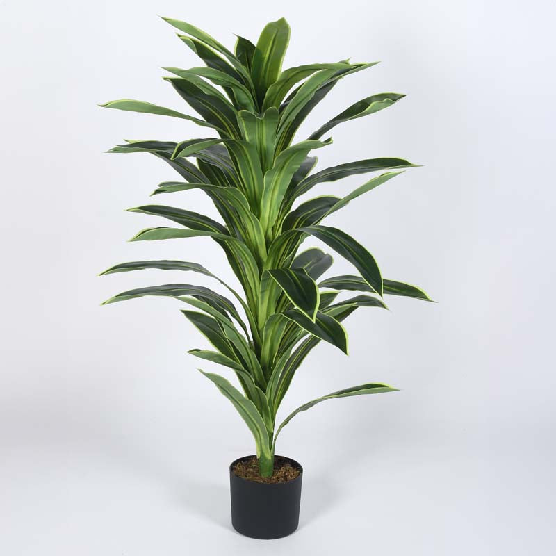 Faux Lush Dracaena Reflexa Plant With Black Plastic Pot -  4 Feet media 4