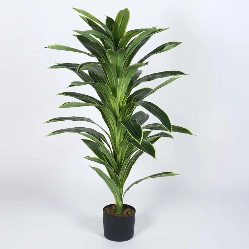 Faux Lush Dracaena Reflexa Plant With Black Plastic Pot - 4 Feet media 4