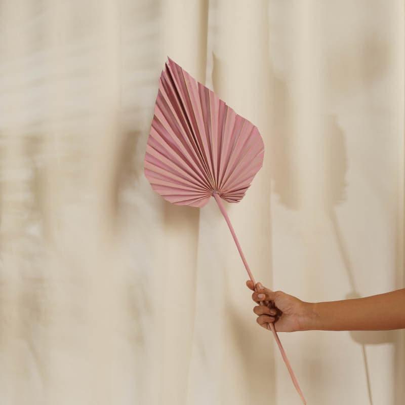 (Pink) Palm Leaf (20 cms) - Set Of Five Stems media 4