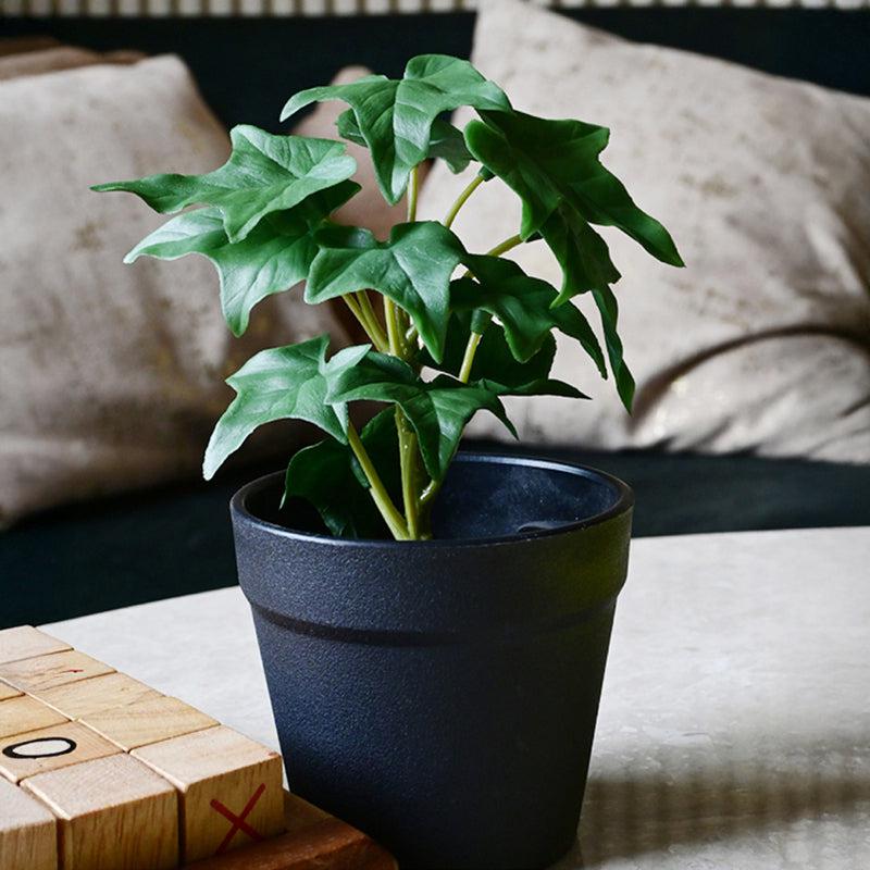 Ivette Artificial Mini Ivy Plant With Basic Black Plastic Pot (Dark Green) - 16 cm media 6