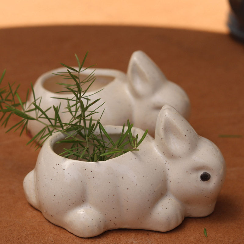 Bunny & Turtle Race Planter - Set Of Two media 2