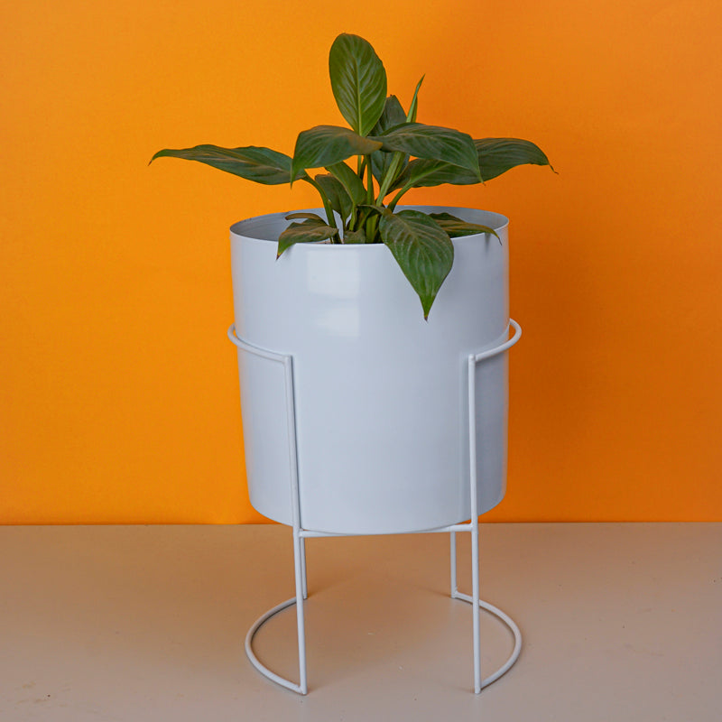 Plantrix Metal Planter With Stand - White media 2