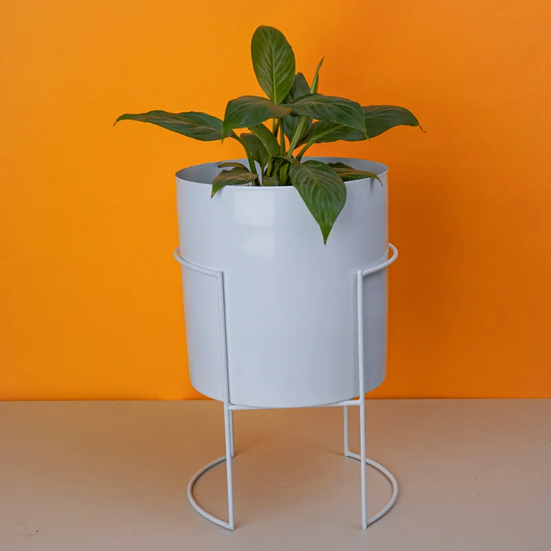 Plantrix Metal Planter With Stand - White media 2