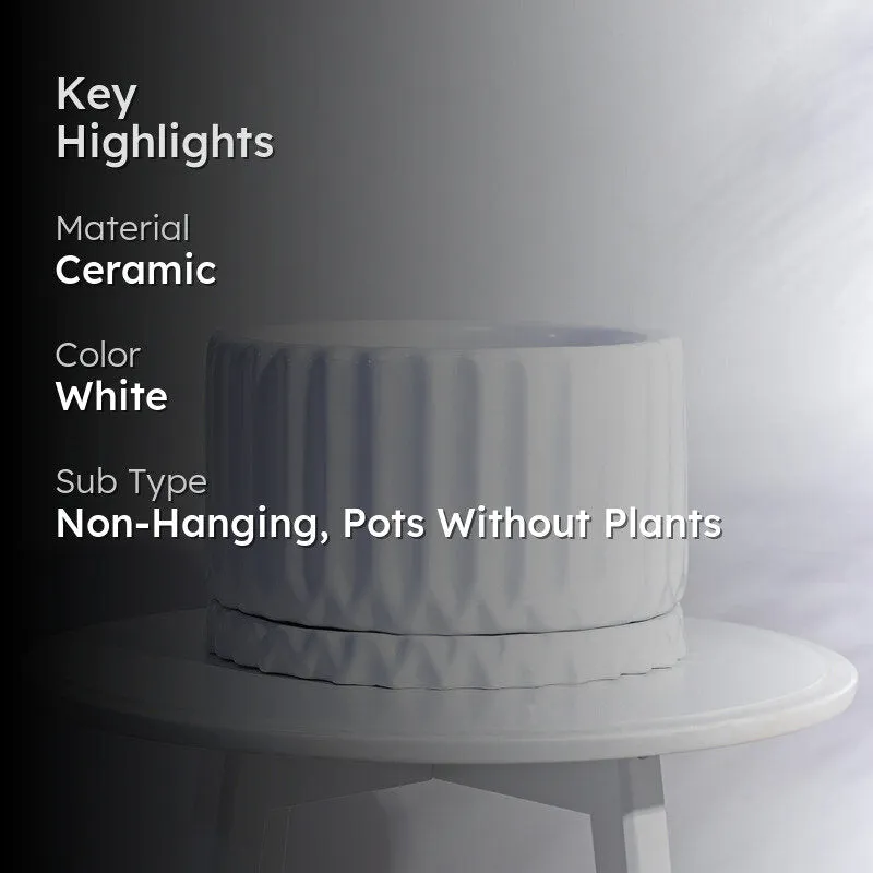 Ugaoo Fleeting Bliss White Ceramic Pot media 2