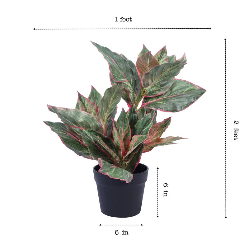 Artificial Realistic Dieffenbachia With Black Plastic Pot - Green media 7