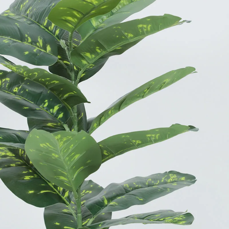 Tropikal Artificial Dieffenbachia Plant With Black Plastic Pot - 2.6 Feet media 5