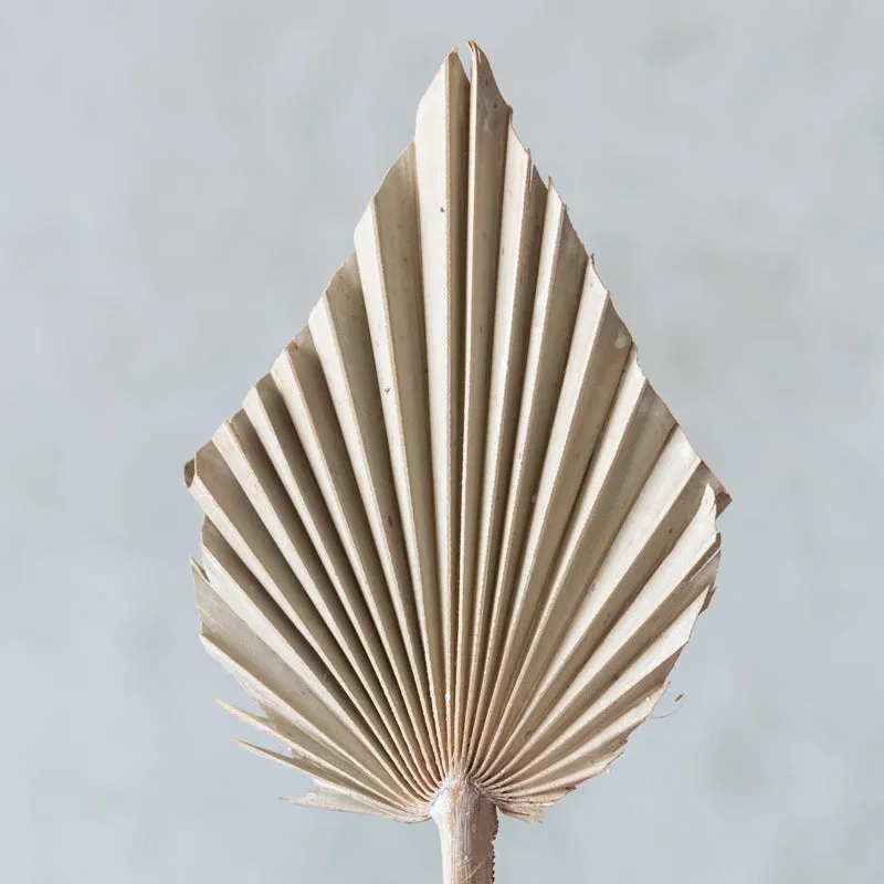 Trovio Naturally Dried Palm Leaf (White) - Set Of Five media 4