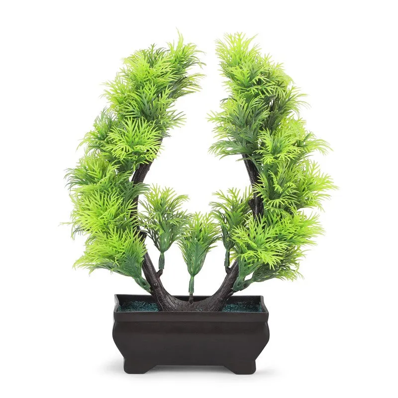 Vibora Bonsai Artificial Plant With Plastic Pot - 0.8 Feet media 3