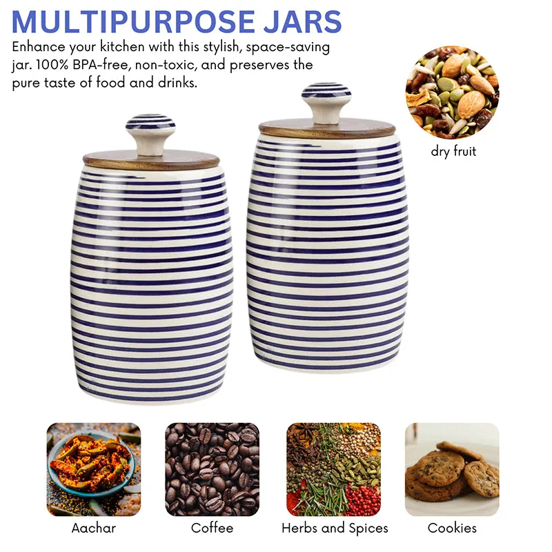 Tiare Curve Ceramic Jar (Blue/550 mL Each) - Set Of Two media 5