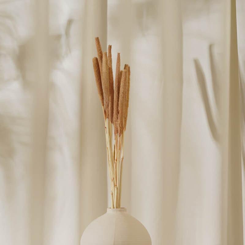 Dried Bajra Stems (2.46 ft) - Brown media 3