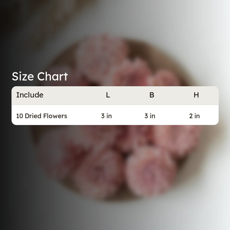 Estar Solawood Rose Flower (Pink) - Set Of Ten media 6
