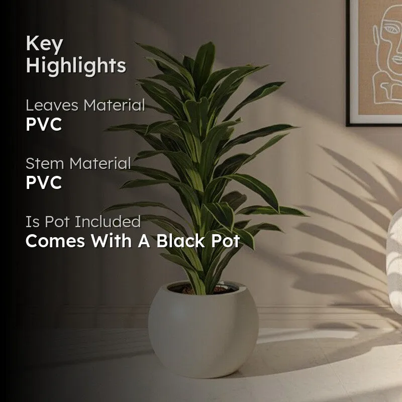 Everlyn Artificial Dracaena Plant With Black Fiber Pot - 4.6 Feet media 2