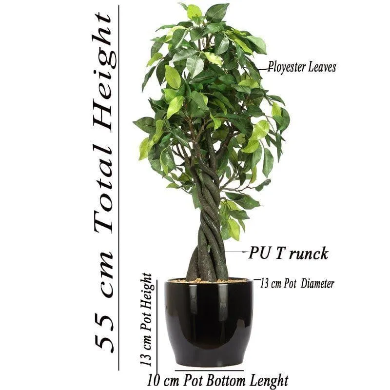 Faux Tall Ficus Bonsai (55 cms) - Green media 4