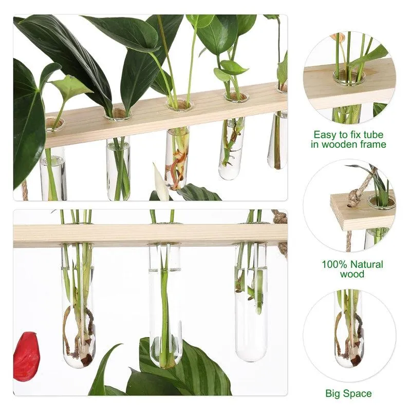 Arana Test Tube Planter media 5