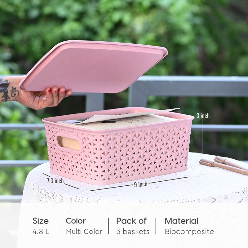 Earth Cache Storage Box With Lid - Set Of Three media 7