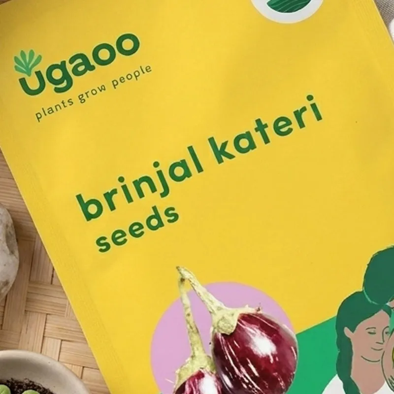 Ugaoo Brinjal Kateri Seeds media 3