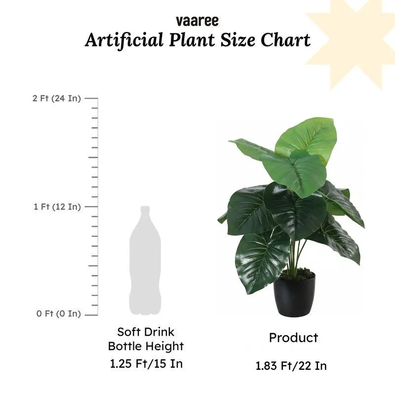 Faux Rubber Silk Plant With Black Plastic Pot - 55 cms media 6