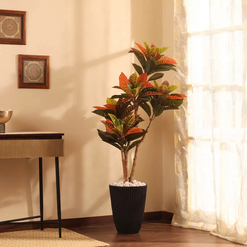 Botanica Ribbed Planter (Charcoal) - 1 Feet media 3
