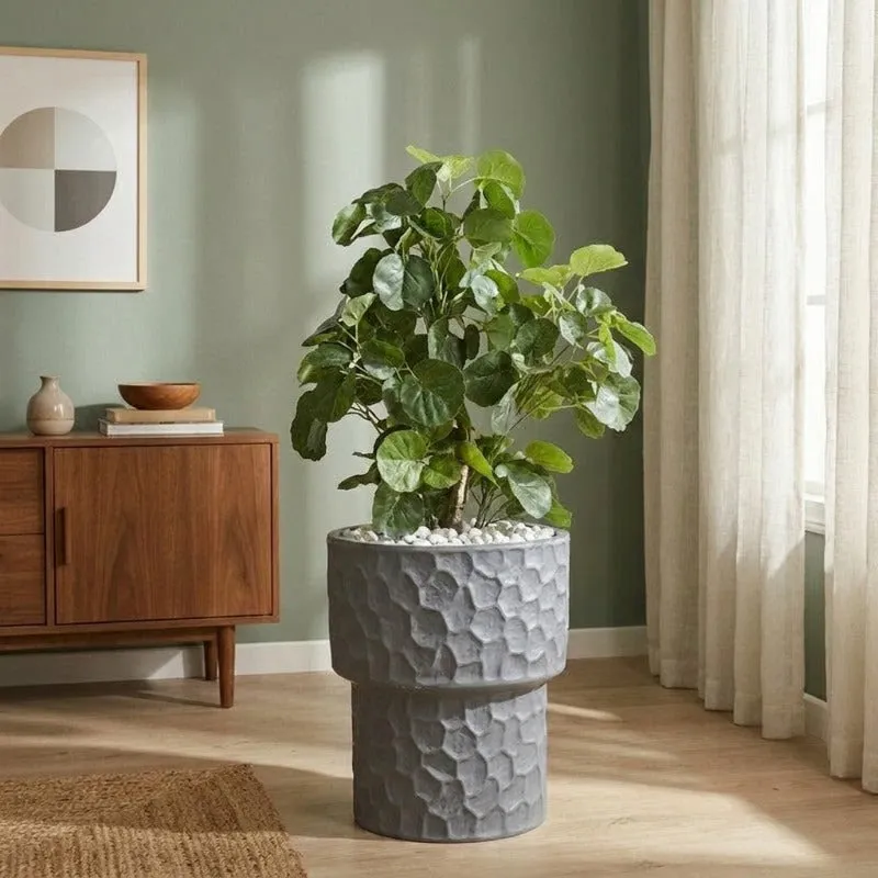 Grey textured planter with a leafy plant against a green wall